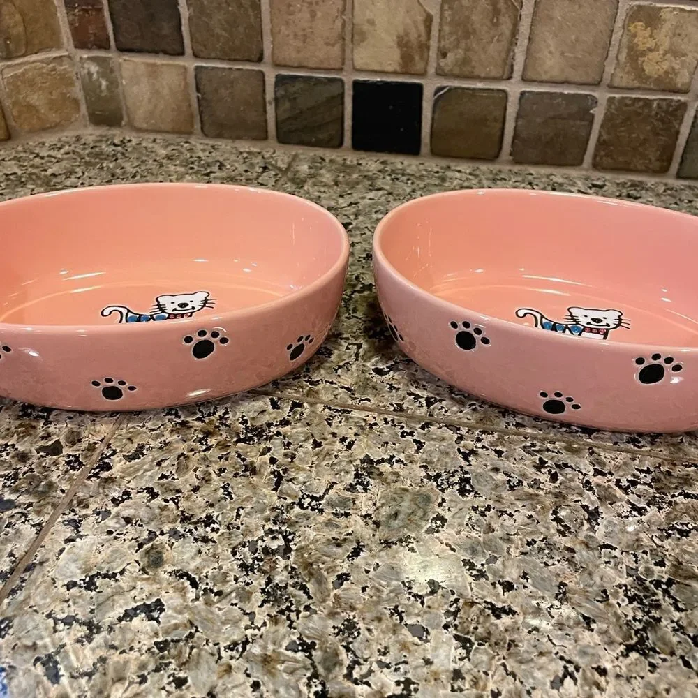 Pet Rageous Adorable Peach Ceramic Cat Bowls set of 2